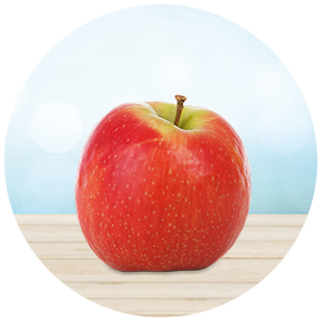 bol appel