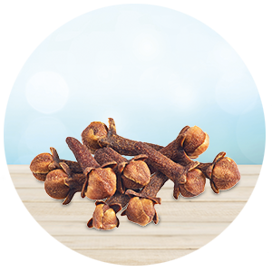 kruidnagel