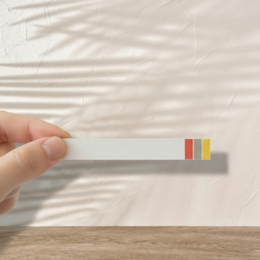 Alka® Verzuringstest